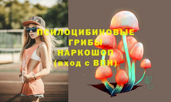 трава Ростов
