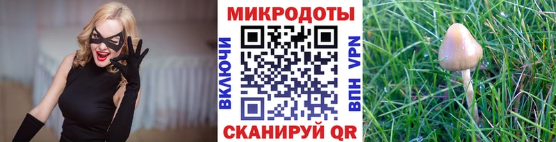 купить  цена  блэк спрут ONION  Псилоцибиновые грибы прущие грибы  Харовск 